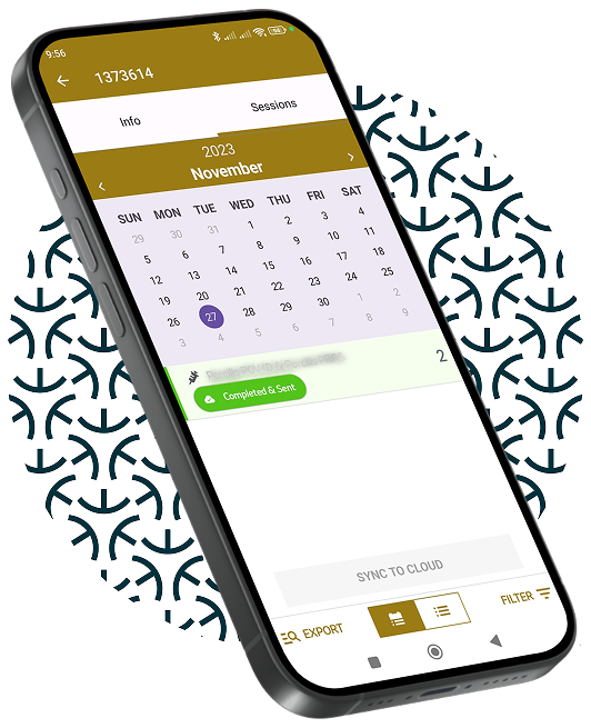 Téléphone portable avec l'application The IDAL way